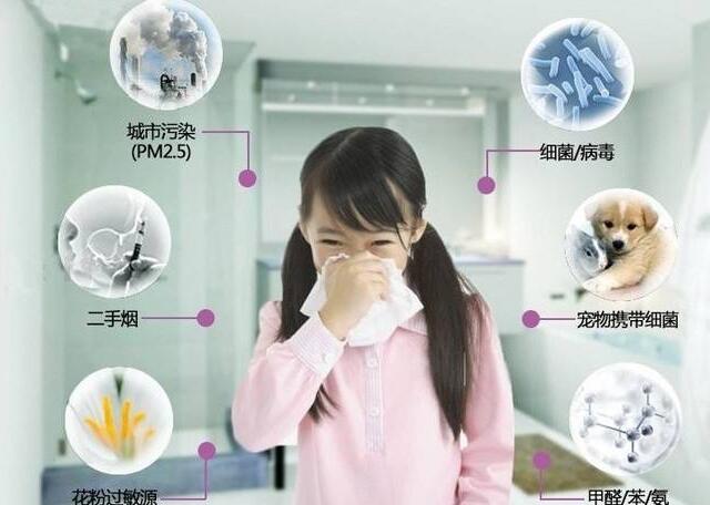 上海市環境檢測咨詢服務有限公司