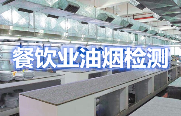 上海市環境檢測咨詢服務有限公司 上海市環境檢測咨詢服務有限公司